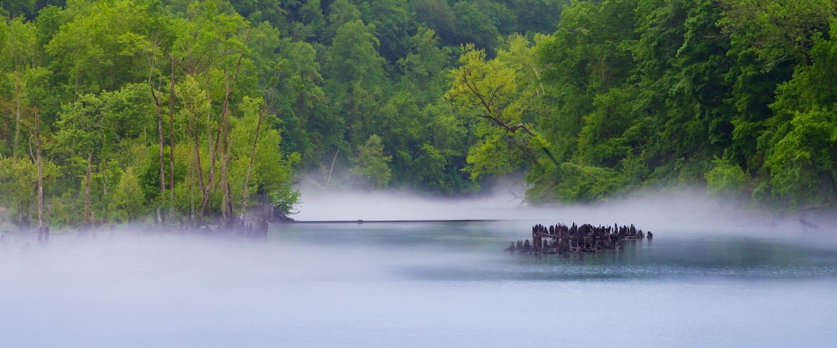 A lake surrounded by dense forest with a small group of people on a dock.