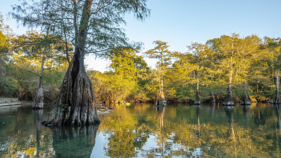 A calm river surrounded by trees reflecting in the water.