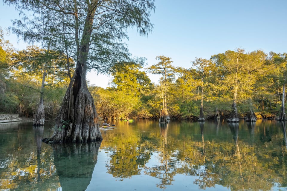 A calm river surrounded by trees reflecting in the water.