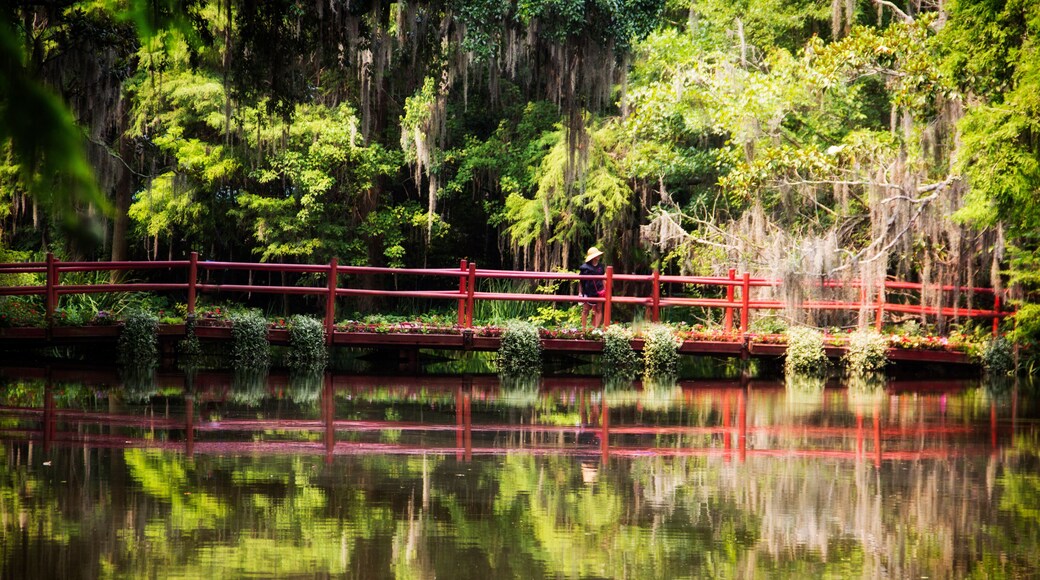 매그놀리아 호수