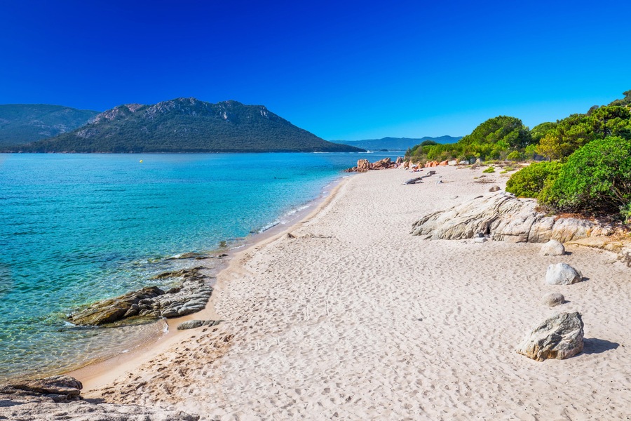 H4E1T7 Green pine trees on sandy San Ciprianu beach with red rocks and tourquise clear water near Porto-Vecchio, Corsica, France, Europ