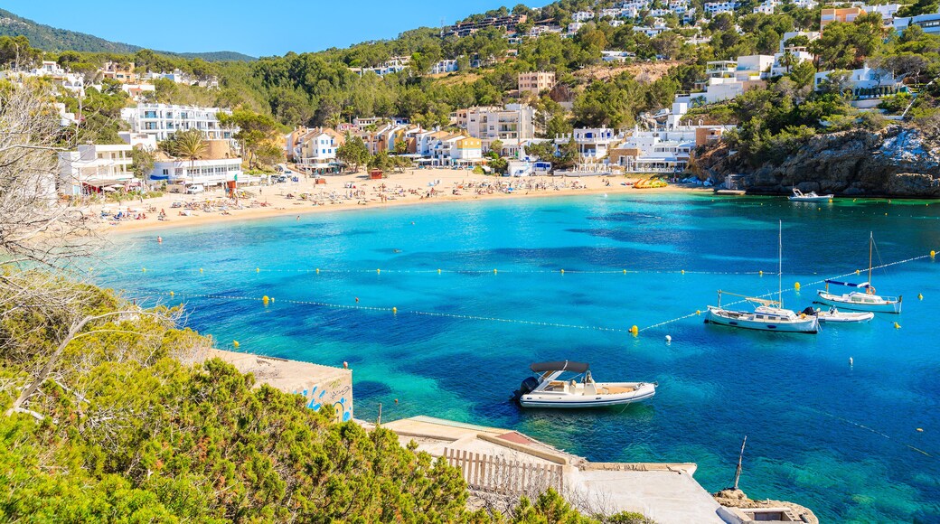 Fishing and sailing boats on blue sea water in Cala Vadella bay, Ibiza island, Spain