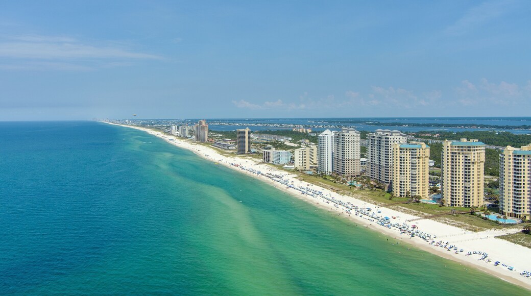 퍼디도 키 비치