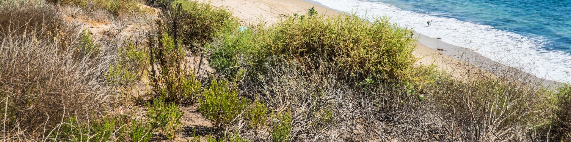 Newport Coast, Orange County, CA