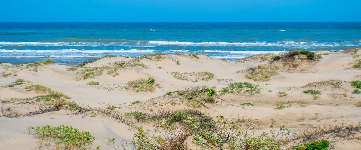 A fine sandy beach in South Padre Island, Texas