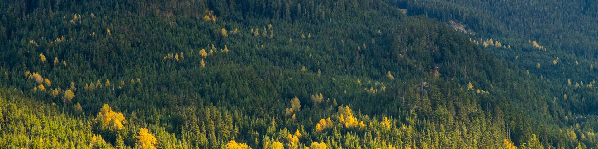 Alta Lake featuring tranquil scenes and a lake or waterhole