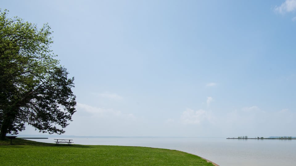A calm lake with a picnic table and a large tree on the left.