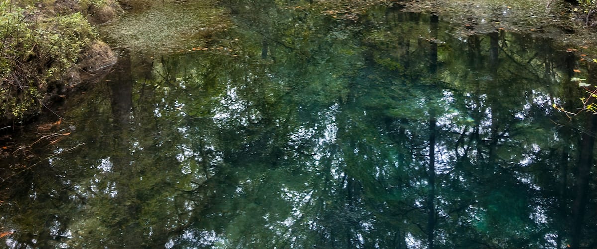 Cow Springs, Florida, USA