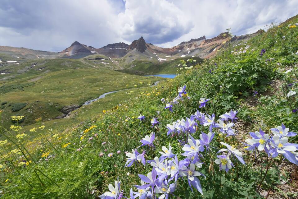 A mountainous landscape with a lake, green hills, and purple flowers.