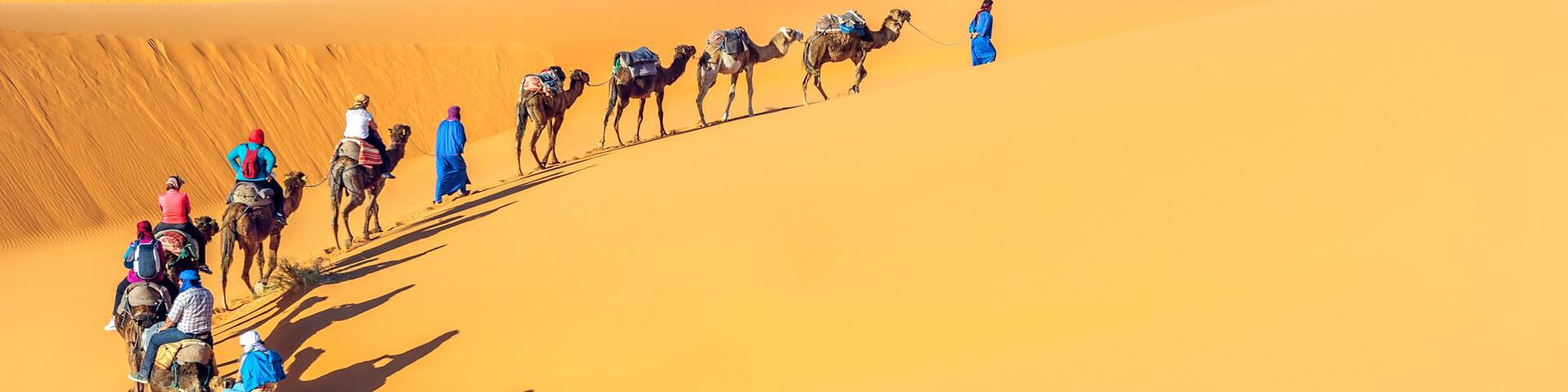 Camel caravan going through the sand dunes in the Sahara Desert, Morocco.