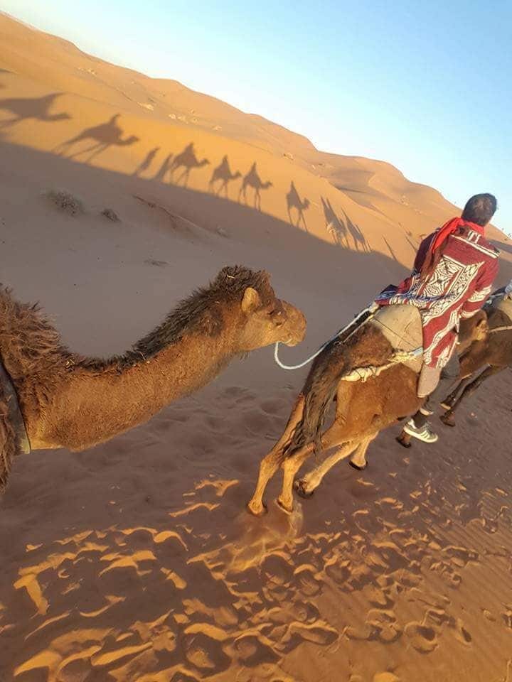 The only fun way to travel in Sahara #lifeAtExpedia 
