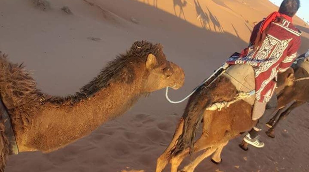 The only fun way to travel in Sahara #lifeAtExpedia