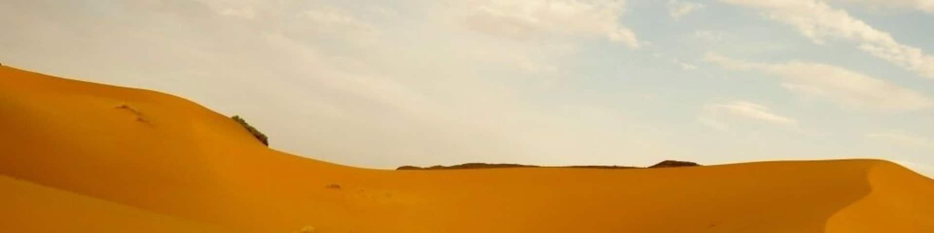 Camel trekking with my best friends through the Sahara Desert near the Algerian and Moroccan boarder. #adventure