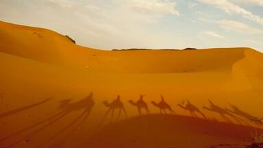 Camel trekking with my best friends through the Sahara Desert near the Algerian and Moroccan boarder. #adventure