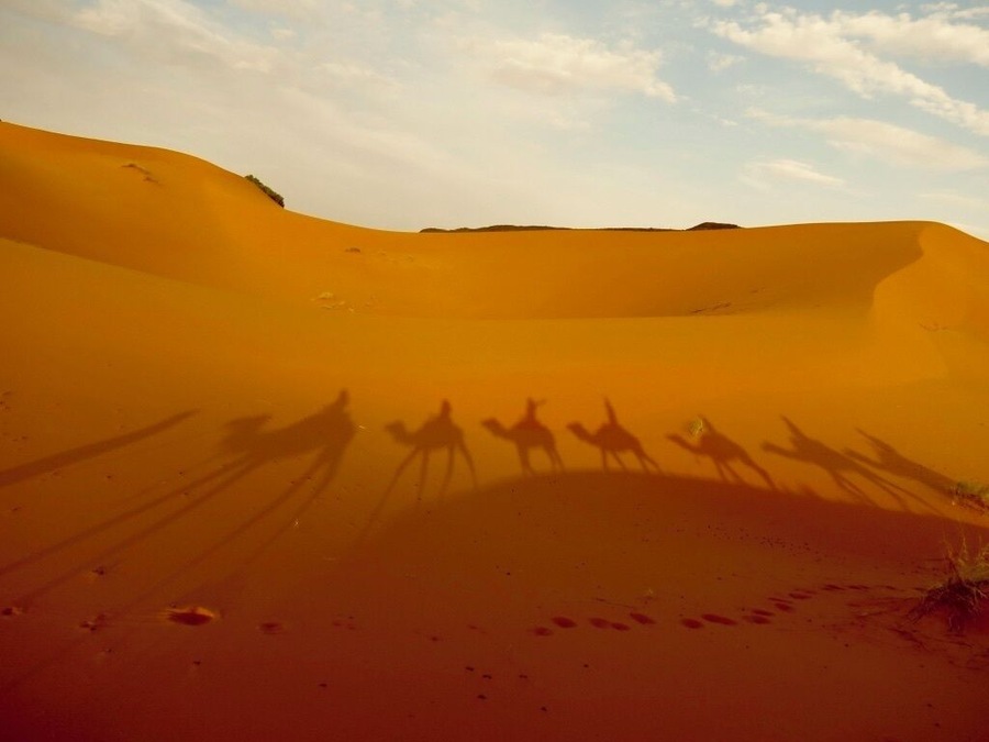 Camel trekking with my best friends through the Sahara Desert near the Algerian and Moroccan boarder. #adventure