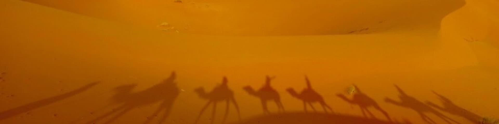 Camel trekking with my best friends through the Sahara Desert near the Algerian and Moroccan boarder. #adventure