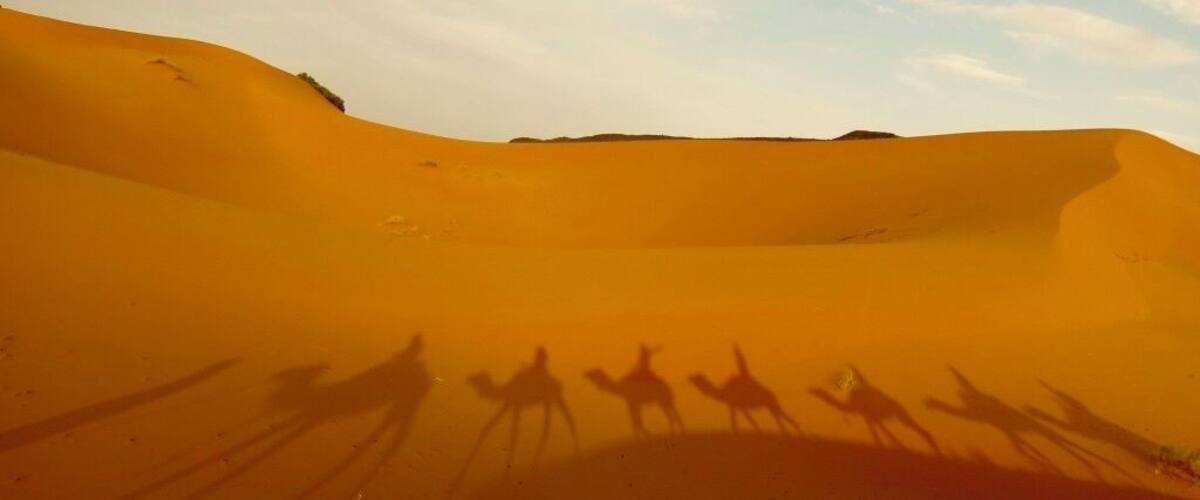 A desert landscape with sand dunes and shadows of camels.
