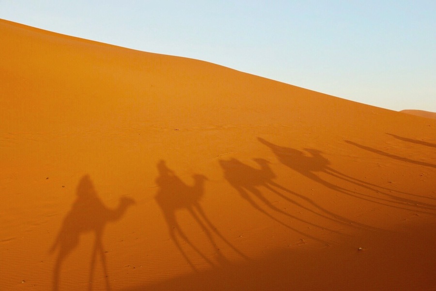 On a trek to a desert camp . On the Sahara, Morocco.