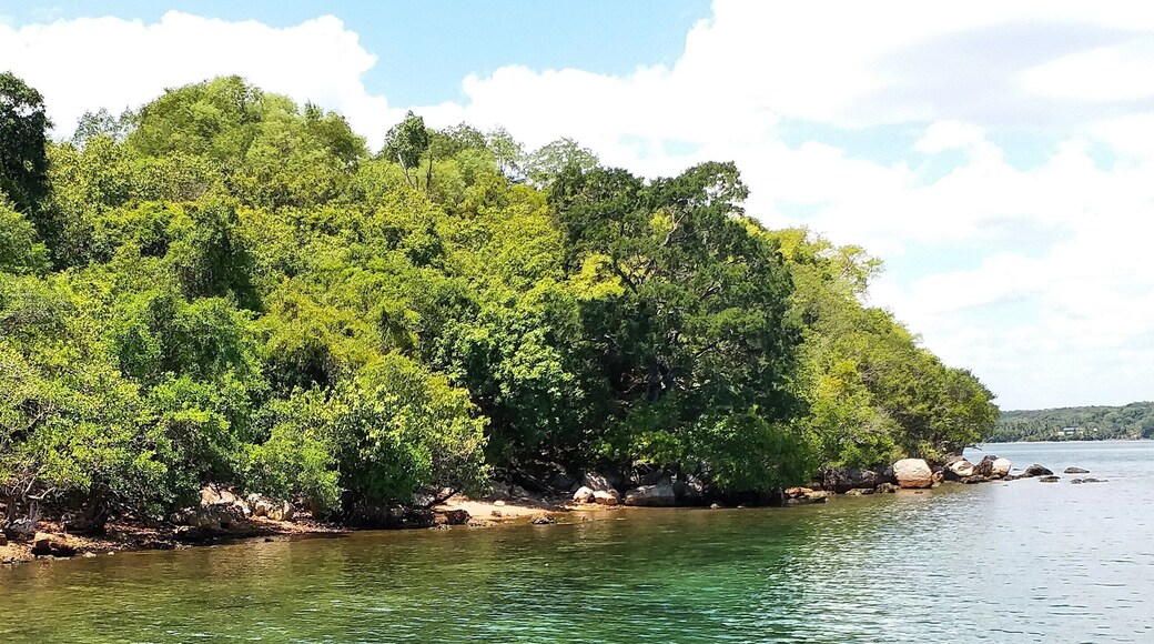Sober Island is a former navy barracks that have been turned into a resort island by the Sri Lanka Navy.