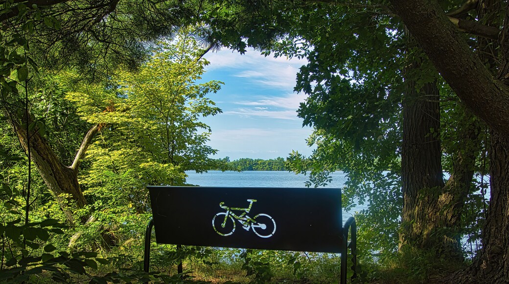 On a sunny Summer day, an empty bench with a bicycle design faces the Chippewa River from a shady spot along the Old Abe State Trail, near Jim Falls, WI.