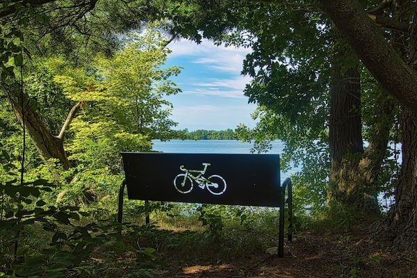 On a sunny Summer day, an empty bench with a bicycle design faces the Chippewa River from a shady spot along the Old Abe State Trail, near Jim Falls, WI.