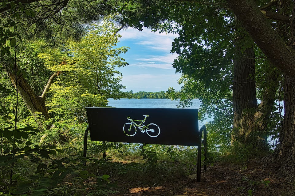 A bench with a bicycle symbol in a forested area near a lake.