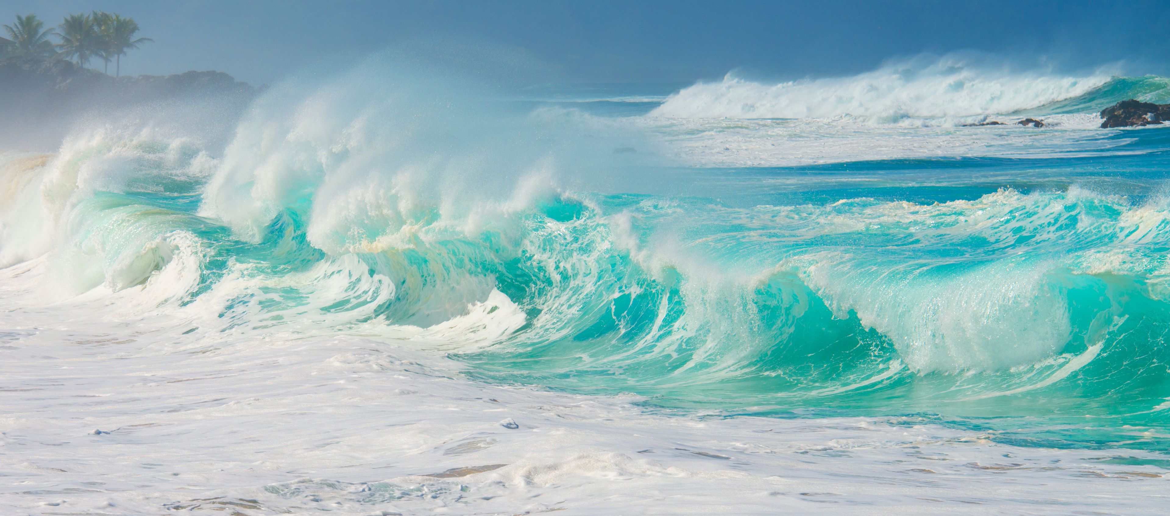 A large wave in the ocean with a clear sky and palm trees in the background.