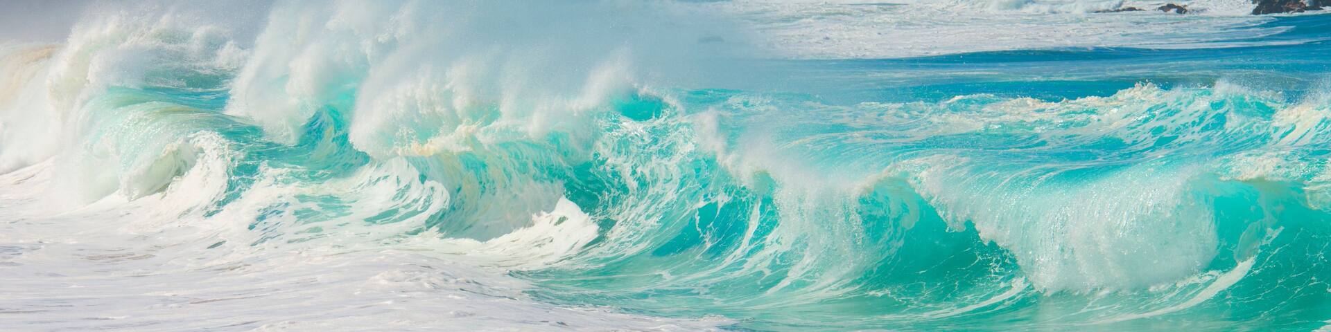 A large wave in the ocean with a clear sky and palm trees in the background.