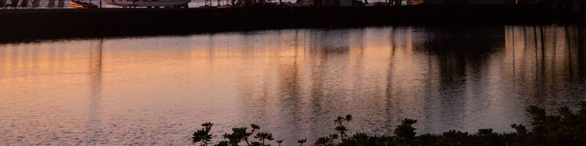 A sunset over a calm body of water with palm trees and a beach in the background.
