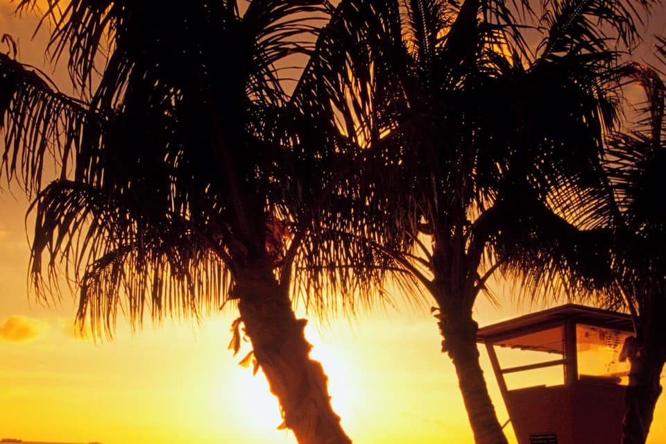 Une plage au coucher du soleil, avec des palmiers et une tour de surveillance des sauveteurs.