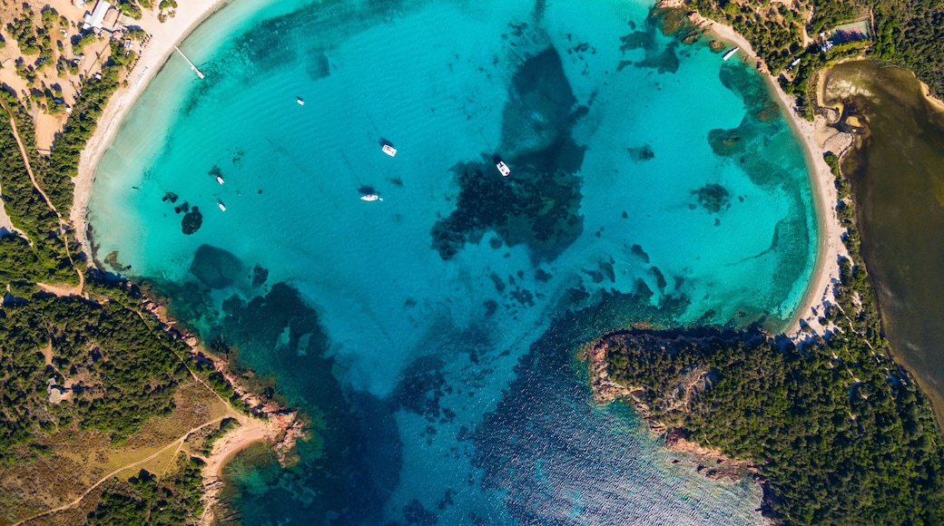 Aerial view of Rondinara beach in Corsica Island in France