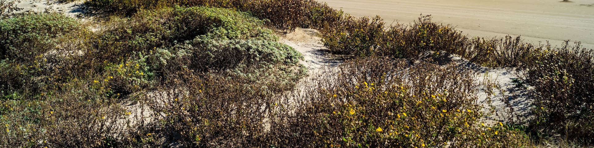 Gulf of Mexico beach at Galveston, Texas near the San Luis Pass