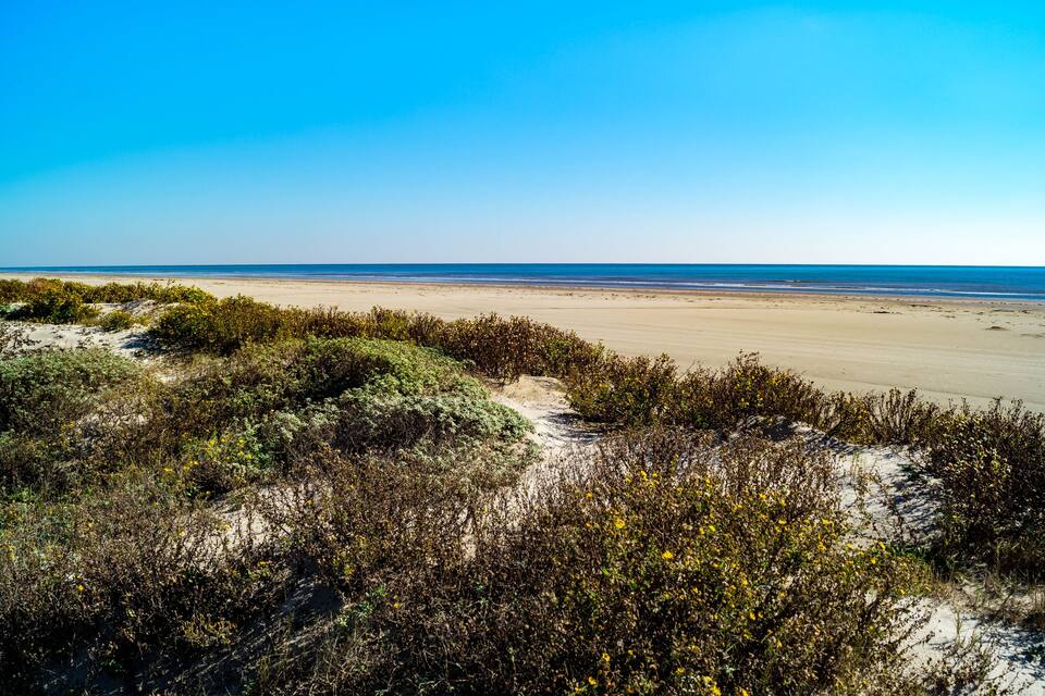 Une plage de sable avec des dunes et une végétation clairsemée.