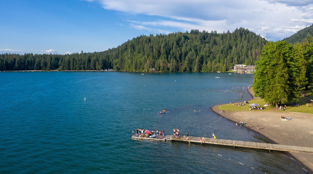 Lac Cultus