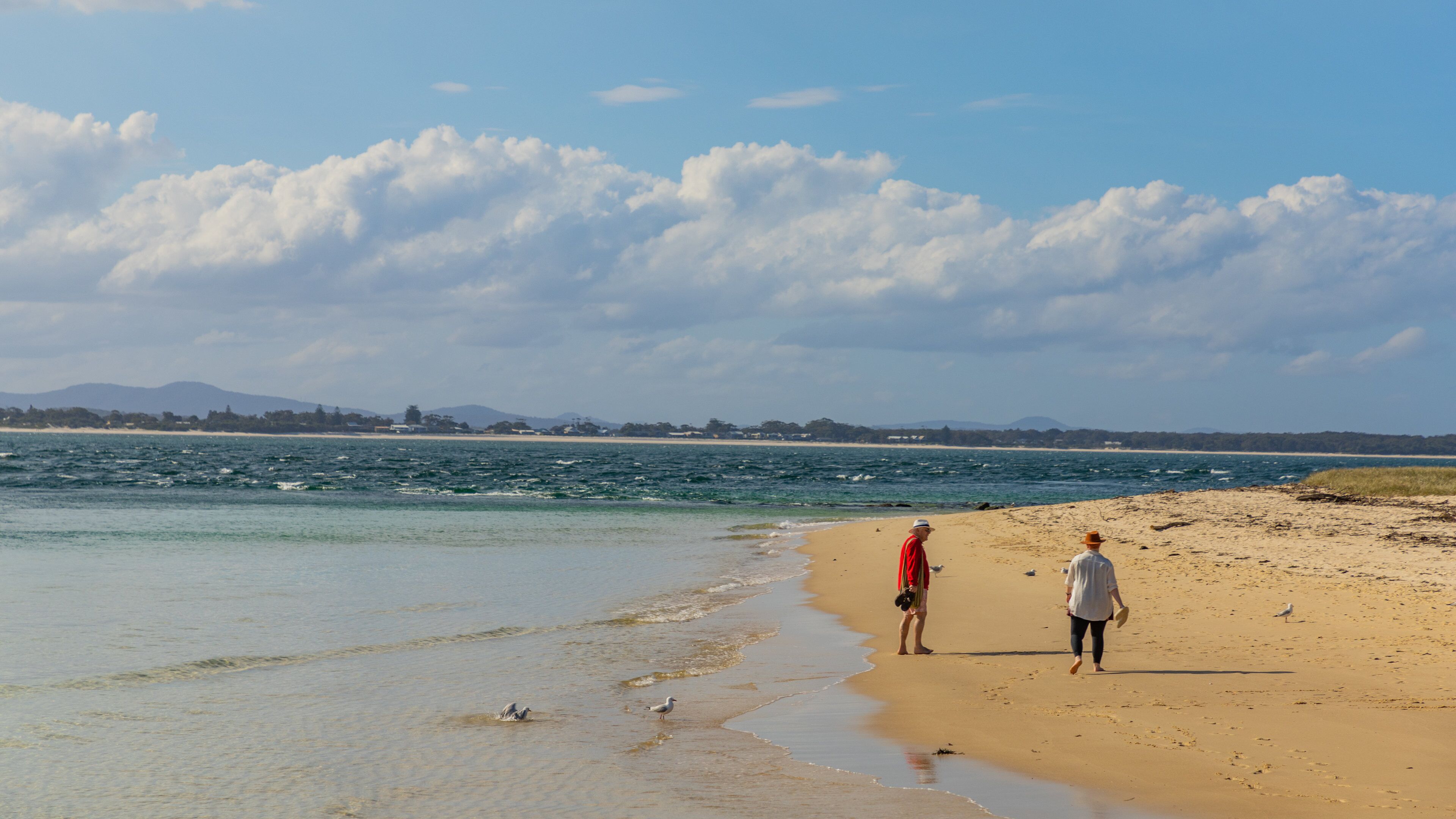 Little Beach showing general coastal views and a sandy beach as well as a couple