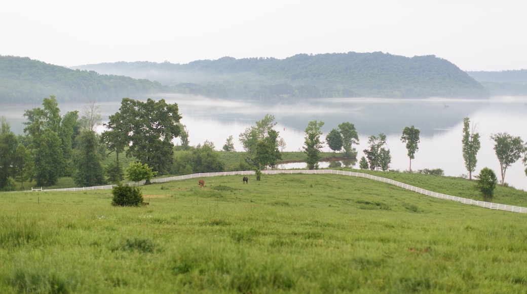 Lush Pasture Overlooking Lake