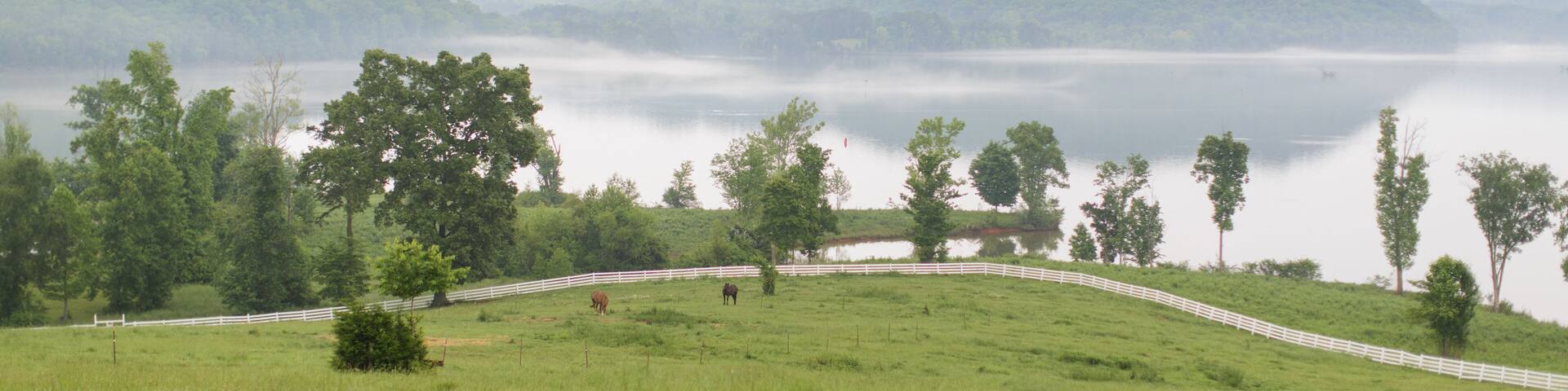 A grassy field with a white fence, trees, and a lake with mist.