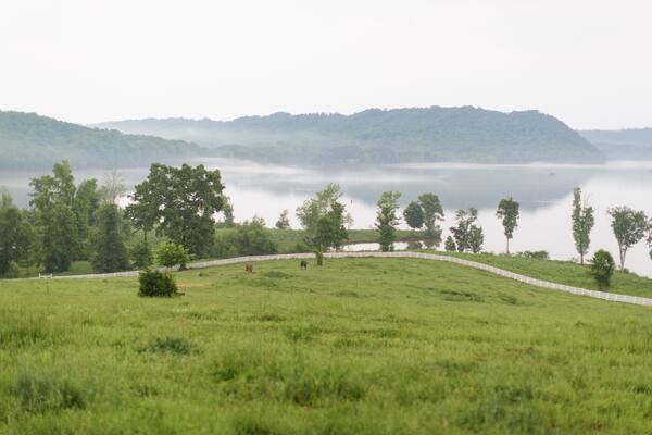 Eine grüne Wiese mit einem weißen Zaun, Bäumen und einem See mit Nebel.