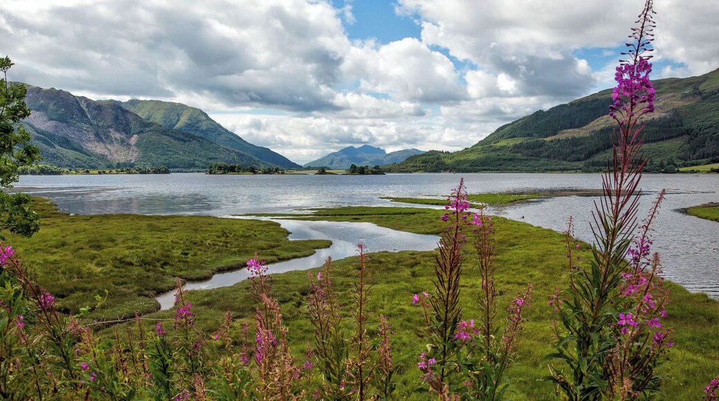Scotland seems to have another beautiful view around every bend. On the drive through Glencoe, this gorgeous view caught our eye.