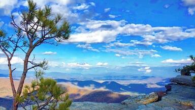 Paisagem rochosa com um pinheiro e vista para montanhas distantes sob um céu azul.