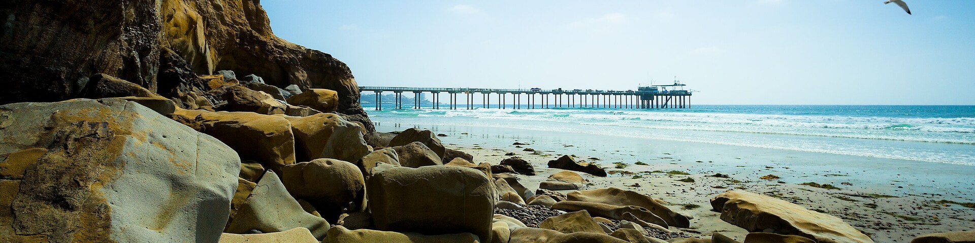 San Diego California Coast Line and Seagulls, Scripps Pier La Jolla Shores in San Diego, California USA