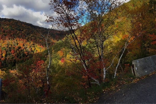 Platte clove road.. A narrow, two-lane road that climbs 1,200 vertical feet in 1.4 miles .. Have grades as high as 24% .. If you want to travel this road it will be closed in the winter .. It's to steep for trucks to plow .. There are not guard rails so it has great views .. Low gears are better to climb it .. This logging road I think has the best trails and views of the high peaks !