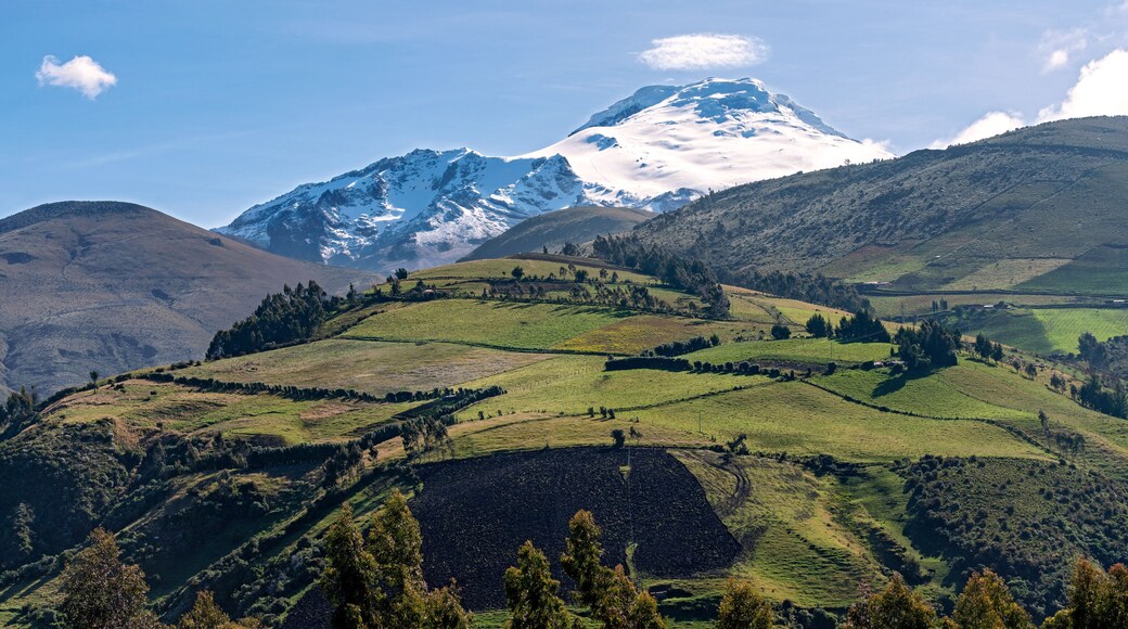 VOLCÁN CAYAMBE RODEADO DE NATURALEZA