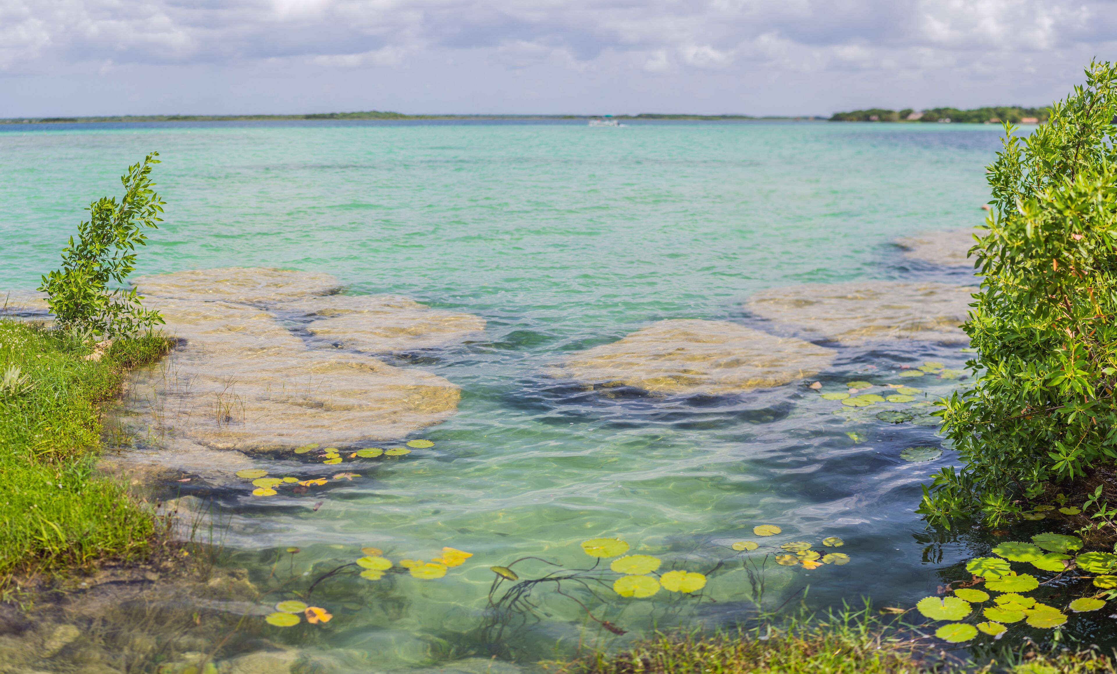Stromatolites in the crystal-clear waters of Bacalar Lake, Mexico. Ancient natural formations in a stunning tropical setting. Nature, geology, and travel concept