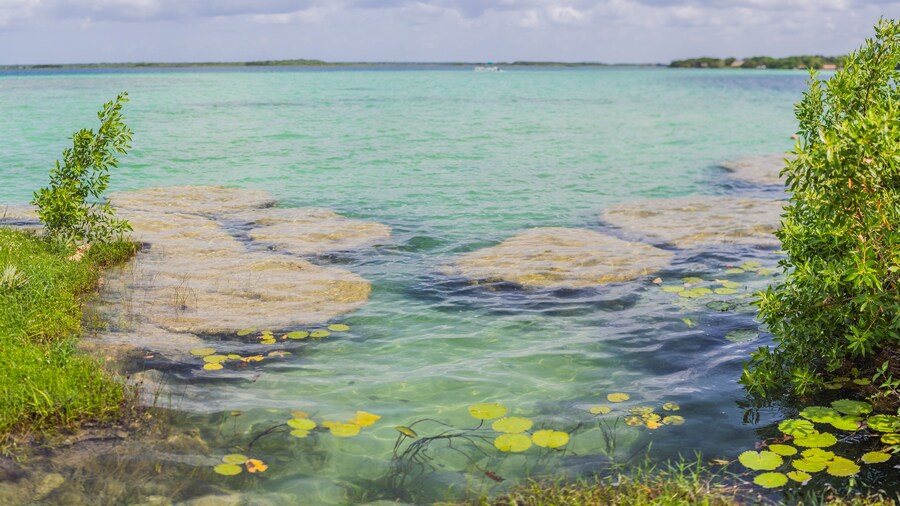 Parque ecológico Laguna Bacalar