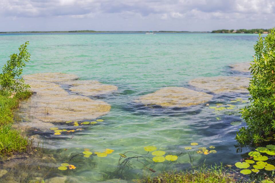 A clear turquoise lake with visible rocks and lily pads.