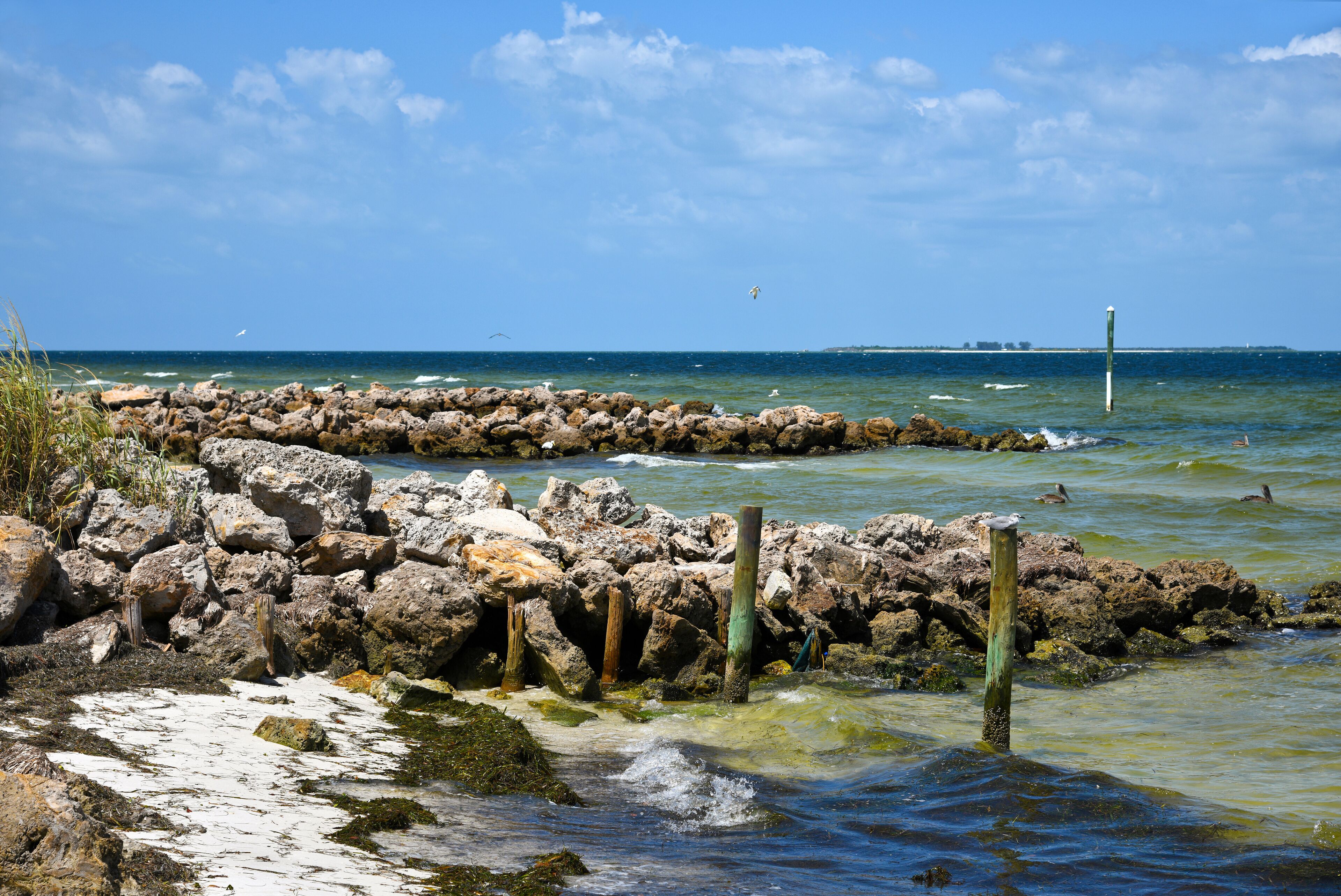 ハーバー アイランド