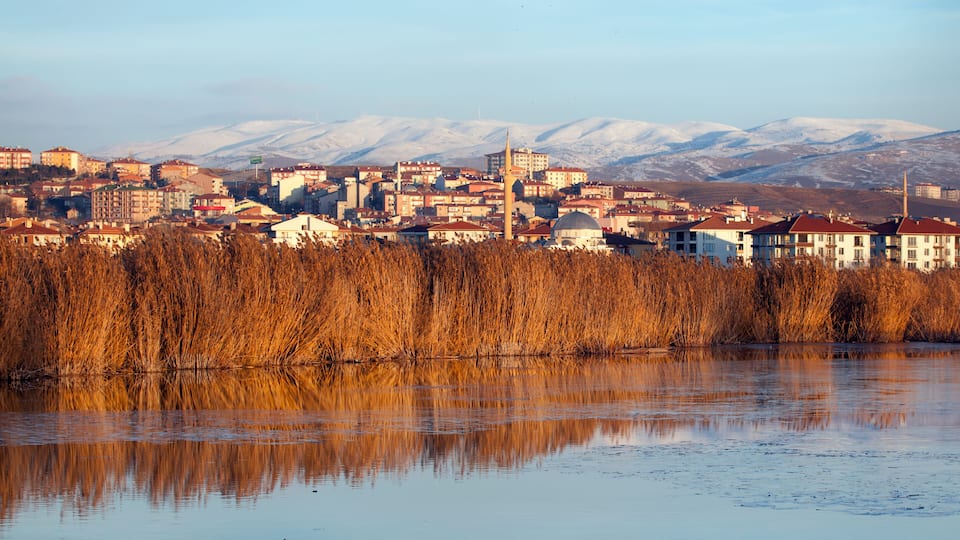 A cityscape with buildings, a river, and snow-capped mountains in the background.