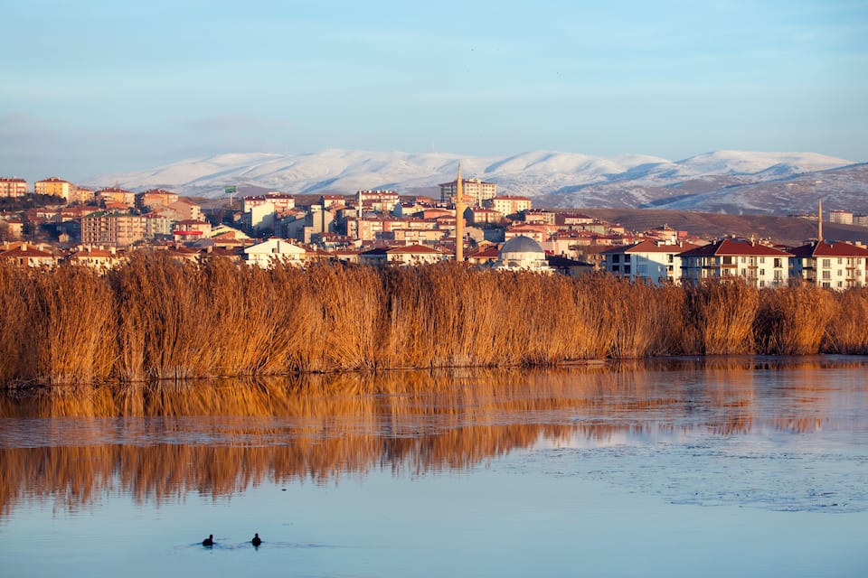 A cityscape with buildings, a river, and snow-capped mountains in the background.