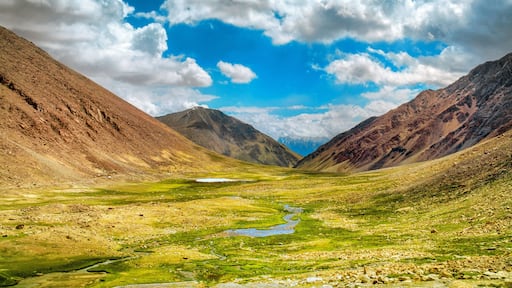 Beautiful mountains view with little stream from melting snow, way to Pangong lake, Ladakh, India